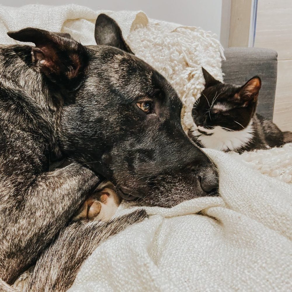 Meet your Posher, Jenny